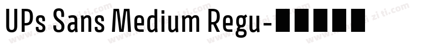 UPs Sans Medium Regu字体转换